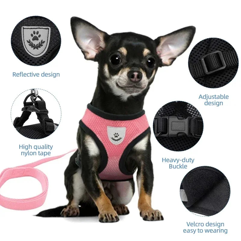 Pet Harness