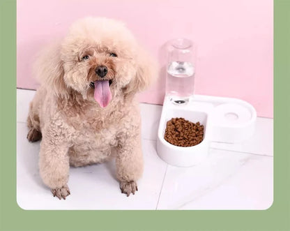 Pet Food & Water Bowl