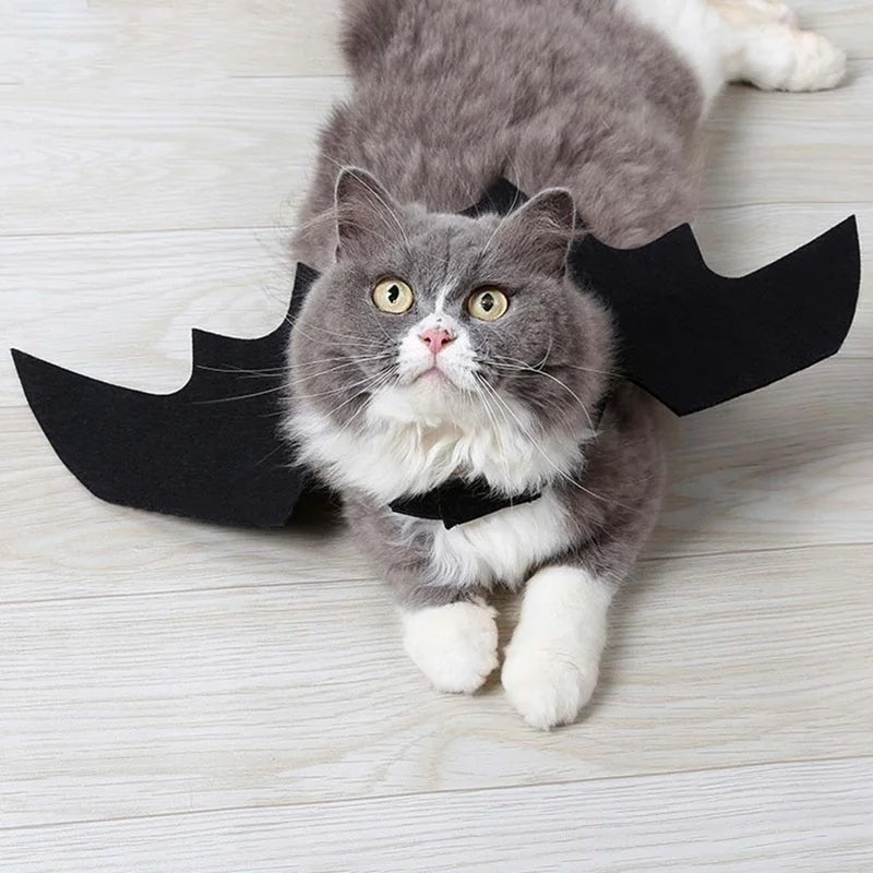 Halloween Cute Pet Clothes