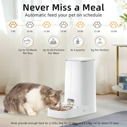 Automatic Cat Feeder