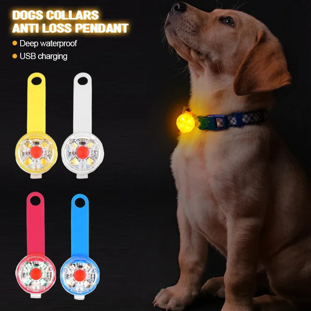 Dogs LED Collars