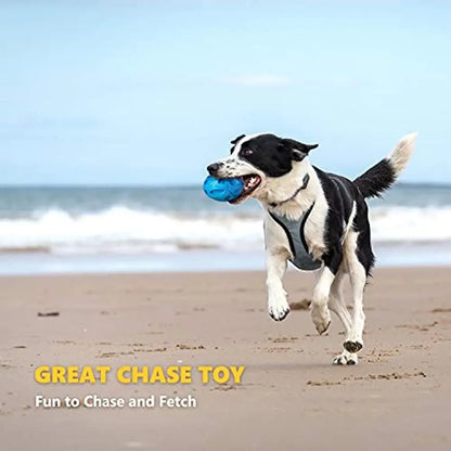 Squeaky Dog Toys