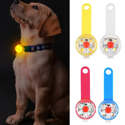 Dogs LED Collars