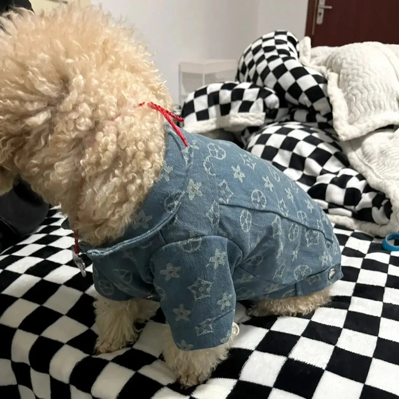 Denim Dog Clothes