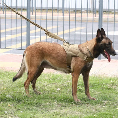 Tactical Big Dog Harness