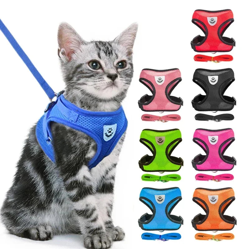 Pet Harness