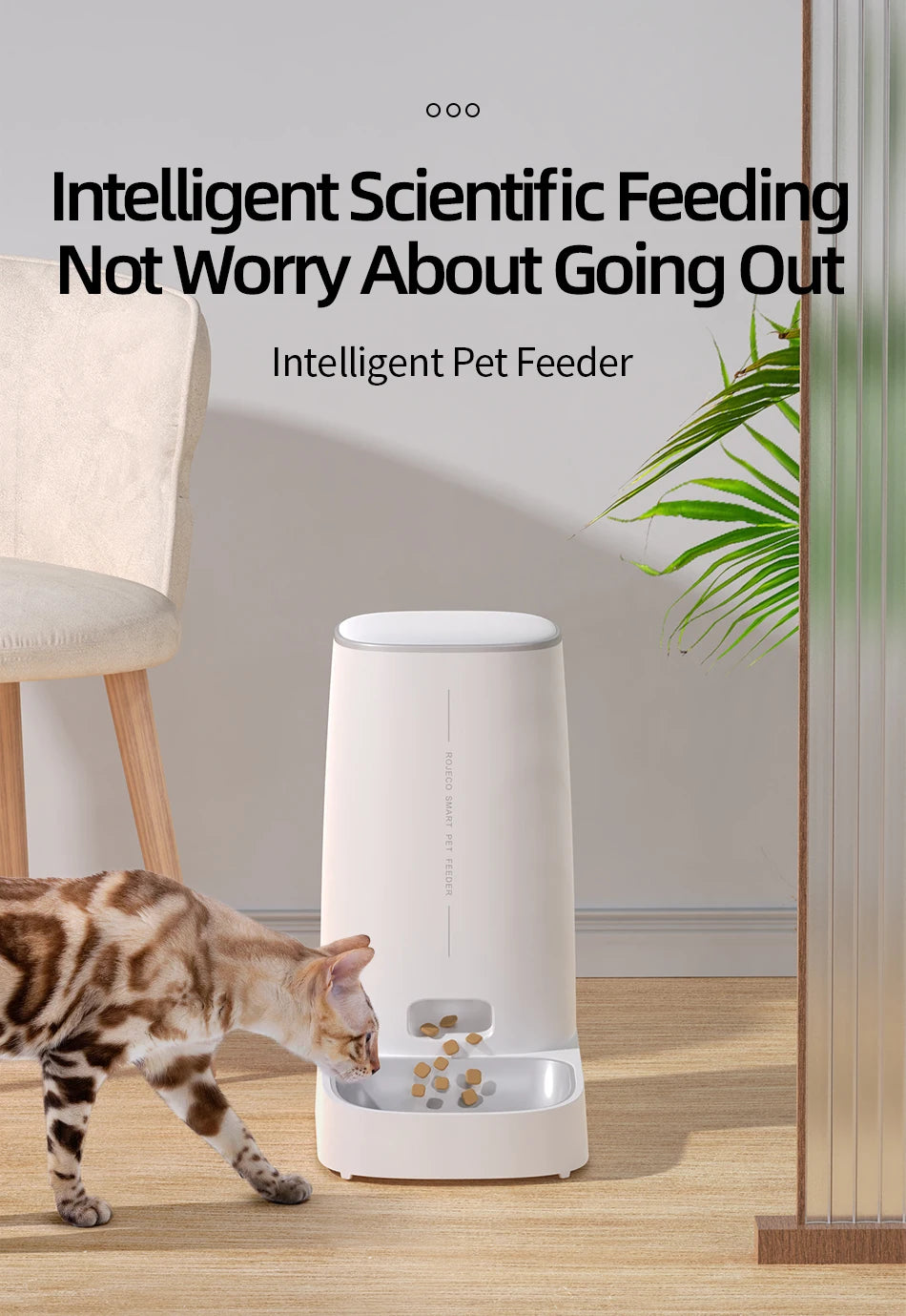 Automatic Cat Feeder