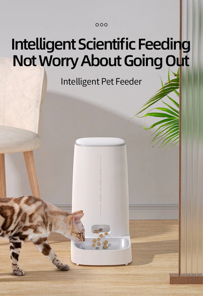 Automatic Cat Feeder