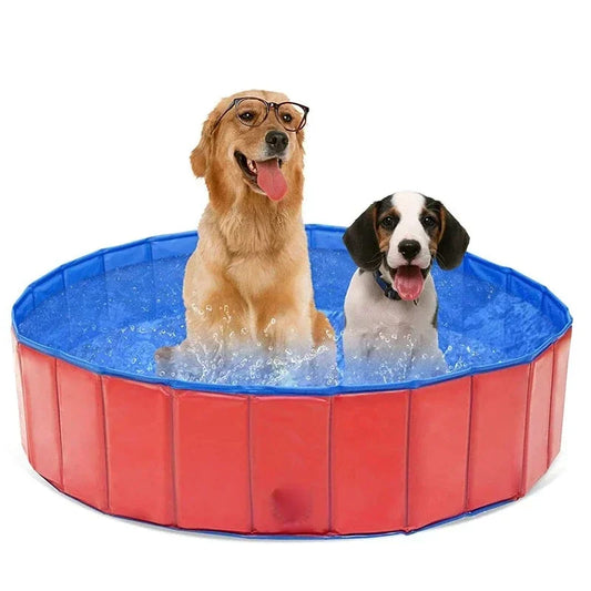 Dog Swimming Bath