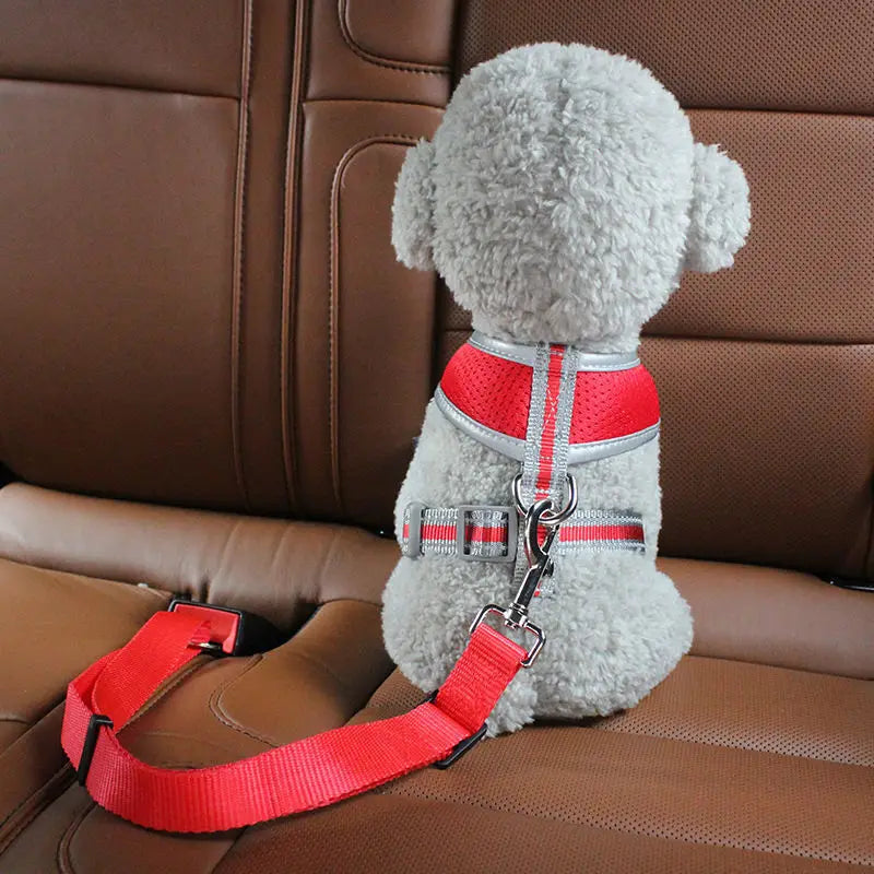 Pet Car Seat Belt