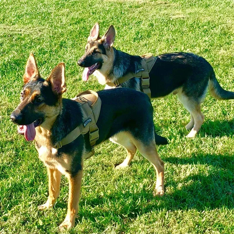 Tactical Big Dog Harness