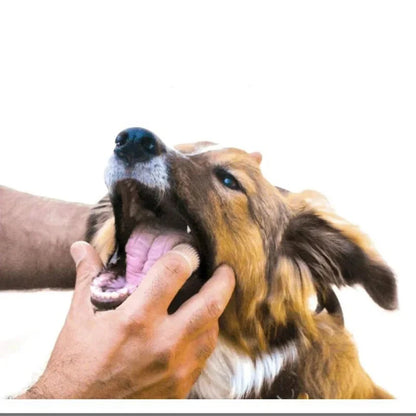 Dog Toothbrush