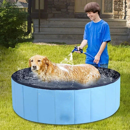 Dog Swimming Bath