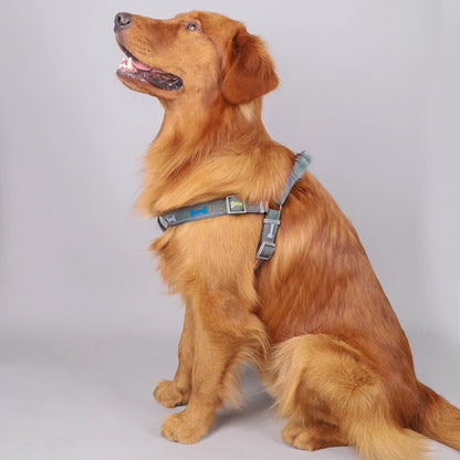 Pet harness for indoor