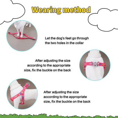 Pet harness for indoor