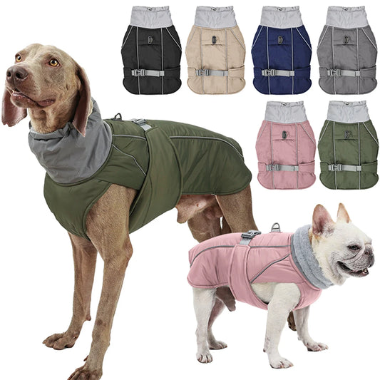 Warm Dog Hoodie