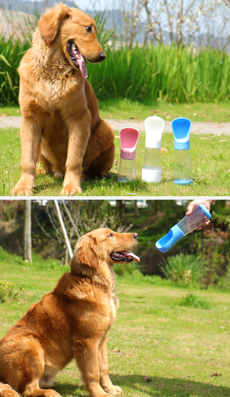 2 In 1 Portable Dog Water Bottle