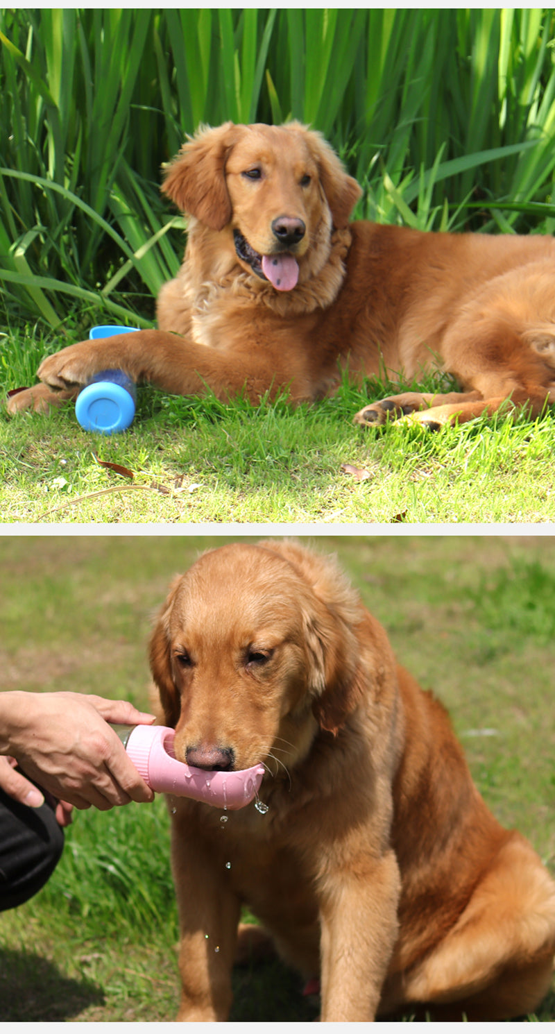 2 In 1 Portable Dog Water Bottle