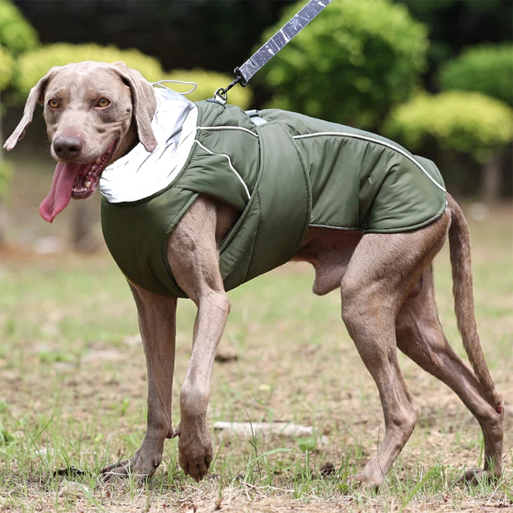 Warm Dog Hoodie