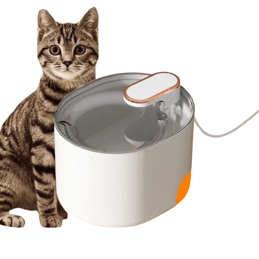 Pet Water Dispenser